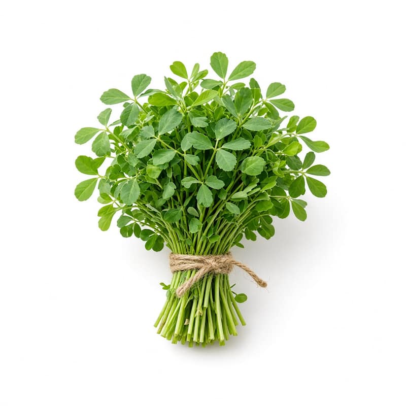 Fresh Methi Fenugreek